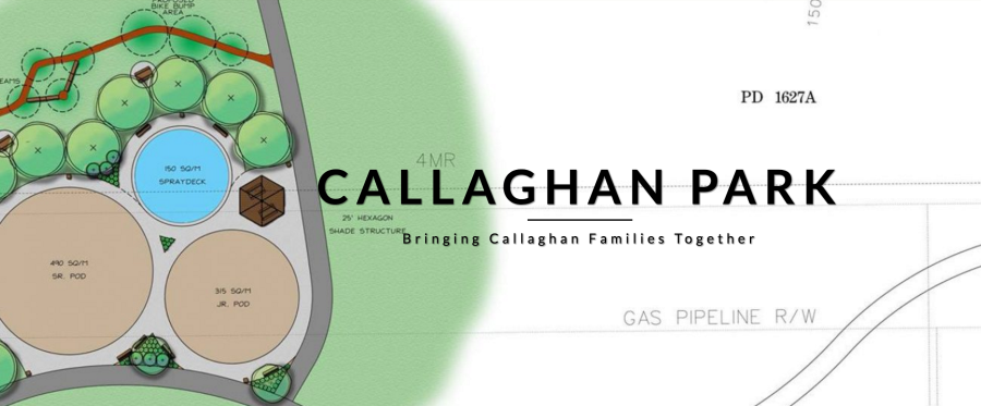Local Community Spotlight: Callaghan Park in Ellerslie