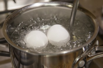 Soft Boiled Eggs Ramen Nomiya Japan