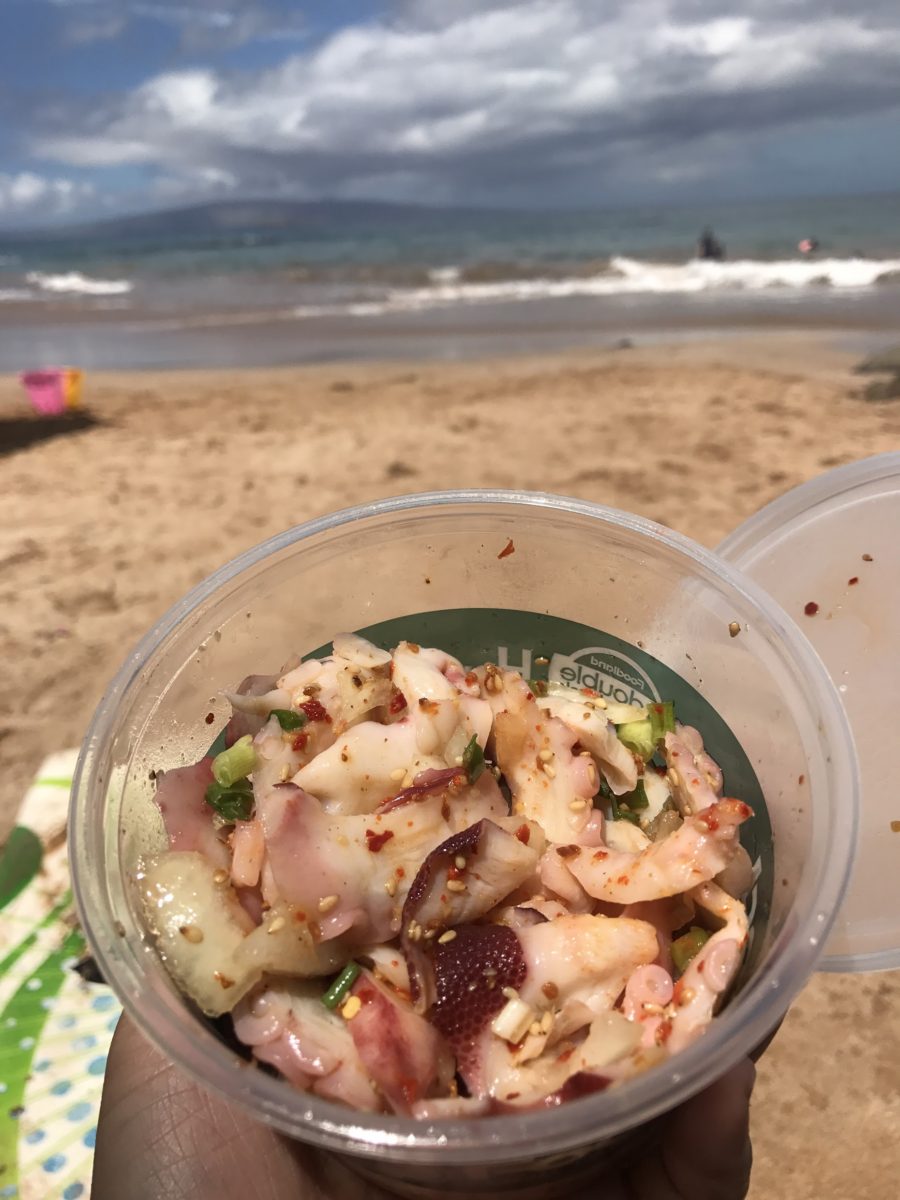 Nomiya Travel Journal | Our Trip to Hawaii (including fresh local Poké!)